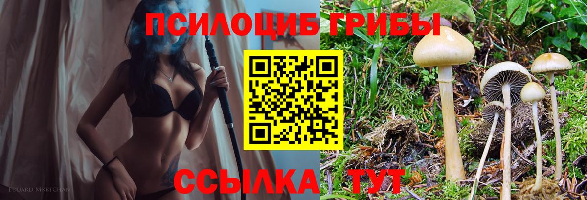 Дюртюли  Галлюциногенные грибы мицелий  Вход с VPN 
